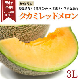 【ふるさと納税】《 先行予約 》 タカミ レッド メロン 3L 【 2024年 発送分】 果物 フルーツ 3Lサイズ タカミメロン 赤肉 めろん 期間限定 旬 国産 厳選