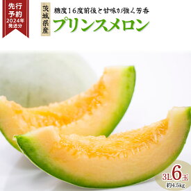 【ふるさと納税】《 先行予約 》 プリンス メロン 3L 6玉 (約 4.5kg )【 2024年 発送分】 果物 フルーツ 3Lサイズ プリンスメロン ノ―ネットメロン 赤肉 めろん 人気 期間限定 旬 国産 厳選