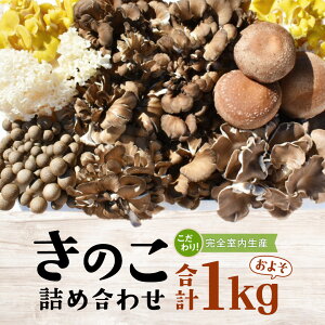 yӂ邳Ɣ[Łẑ  lߍ킹 STCY ( 1kg ) i錧ʕԗiF闢j LmR Zbg  J[ _CGbg fgbNX oGeB Zbg VN