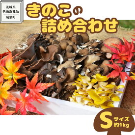 【ふるさと納税】きのこ の 詰め合わせ Sサイズ ( 約1kg ) （茨城県共通返礼品：城里町） キノコ セット 野菜 低カロリー ダイエット デトックス バラエティ セット 新鮮