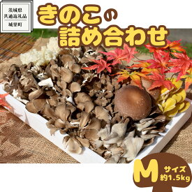 【ふるさと納税】きのこ の 詰め合わせ Mサイズ ( 約1.5kg ) （茨城県共通返礼品：城里町） キノコ セット 野菜 低カロリー ダイエット デトックス バラエティ セット 新鮮