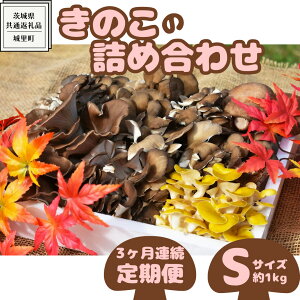 yӂ邳Ɣ[Łzy 3A ẑ  lߍ킹 STCY ( 1kg ) i錧ʕԗiF闢j LmR Zbg  J[ _CGbg fgbNX oGeB Zbg VN