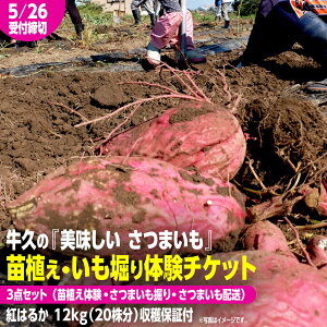 yӂ邳Ɣ[Łzv ́w ܂xcAEňty cǍ E ܂@ E zt z3_Zbg  ̌`Pbg ( g͂邩 12kgnۏؕt ) ̌ n  