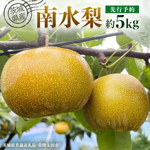 yӂ邳Ɣ[Łzy s\ z錧Y  쐅 Iׂe  3kg ` 5kg ( 錧ʕԗi : 헤cs ) y 2025N 9{蔭 z t[c ʕ Y {Y  iV Ȃ a