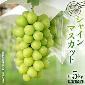 yӂ邳Ɣ[Łz 錧Y  VC}XJbg Iׂe  3kg ` 5kg ( 錧ʕԗi : 헤cs ) y 2025N 9{蔭 z VC}XJbg t[c Ԃǂ  