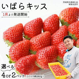 【ふるさと納税】【 先行予約 】 茨城県品種 いばら キッス 選べる 2パック または 4パック【 2026年1月から発送開始 】 ( 茨城県共通返礼品 : 常陸太田市 ) 選べる容量 4パック×1箱 または 2パック×1箱 いばらキッス いばらきっす