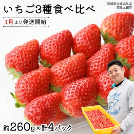 【ふるさと納税】【 先行予約 】いちご 3種 食べ比べセット（4パック×1箱)【 2026年1月から発送開始 】 ( 茨城県共通返礼品 : 常陸太田市 ) 約 260g × 4パック いばらキッス ひたち姫 やよいひめ から 厳選して お届け 数量限定 果物 くだもの フルーツ 苺 イチゴ 期間限定