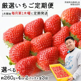 【ふるさと納税】【 先行予約 】 【 定期コース 】 厳選 いちご 選べる 2パック または 4パック 【 毎月 第1木曜に全3回発送 初回発送 2026年1月8日 】 ( 茨城県共通返礼品 : 常陸太田市 ) 選べる容量 約260g×2パック または 約260g×4パック