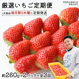 【ふるさと納税】【 先行予約 】 【 定期コース 】 厳選 いちご 選べる 2パック または 4パック 【 毎月 第3木曜に全3回発送 初回発送 2026年1月22日】 ( 茨城県共通返礼品 : 常陸太田市 ) 選べる容量 約260g×2パック または 約260g×4パック