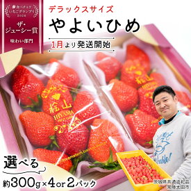 【ふるさと納税】【 先行予約 】 いちご やよいひめ 特大 デラックス サイズ 選べる 2パック または 4パック 【 2025年1月から発送開始 】 ( 茨城県共通返礼品 : 常陸太田市 ) 苺 イチゴ フルーツ 果物 選べる容量 約300g×2パック または 約300g×4パック