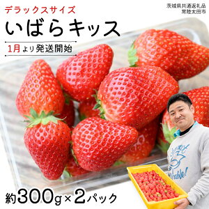 yӂ邳Ɣ[Łzy s\ z ΂LbX ( 2pbN )@ fbNXTCY y 2026N1甭Jn z ( 錧ʕԗi : 헤cs )  300g × 2 pbN ΂LbX ΂炫