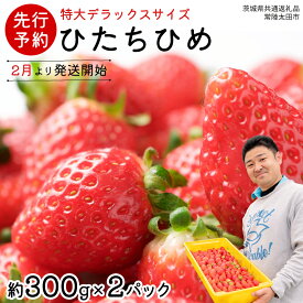 【ふるさと納税】【 先行予約 】 ひたち姫 ( 2パック ) 特大 デラックス サイズ 【 2026年2月から発送開始 】( 茨城県共通返礼品 : 常陸太田市 ) いちご 数量限定 果物 くだもの フルーツ 苺 イチゴ ストロベリー 旬 大きい ひたち 甘い あまい