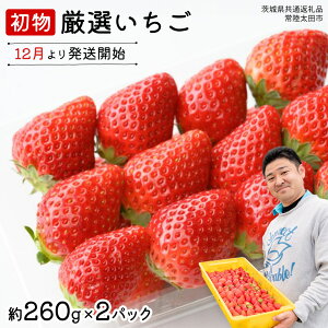 yӂ邳Ɣ[Łzy s\ z  I ( 2pbN ×1 )y12z( 錧ʕԗi : 헤cs )  ʌ ʕ  t[c  C`S Xgx[ { I 