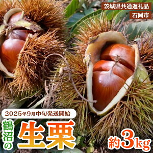 yӂ邳Ɣ[Łzy 2025N9{Jn zΉ ߏ  I _Iׂeʁ^1kg`3kg i錧ʕԗiFΉsj I  N } I͂ I  Mtg H̖o ʕ 