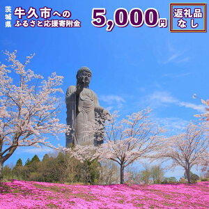 yӂ邳Ɣ[Łzy ԗiȂ z 錧 vs ӂ邳Ɖ񕍋 ( 5,000~ )