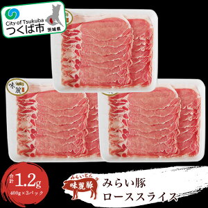 yӂ邳Ɣ[Łz݂炢 [XXCX1.2kg (400g×3pbN)  | Ύs 錧 ؓ  Ԃ uh uh [X [X |[N Ⓚ ē Ԃ  pb