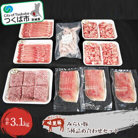 【ふるさと納税】みらい豚 詰め合わせ セット | 茨城県 つくば市 ロース もも肉 切落し 挽肉 粗挽き ホワイト ウインナー オリジナル 生ハム 詰合せ ブランド肉 ブランド豚 銘柄豚 ポーク 冷凍 焼肉 BBQ バーベキュー 1101800