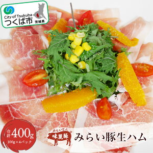 yӂ邳Ɣ[Łz݂炢 n400g (100g×4pbN)  | 錧 Ύs ؓ  Ԃ |[N Ⓚ Ȃ܂  v~A fJebZ p[eB[ C^A 