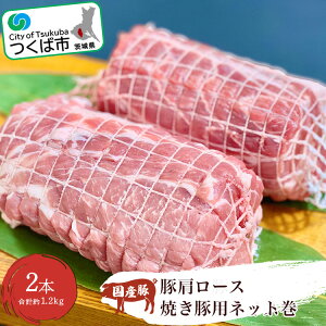 yӂ邳Ɣ[ŁzY [X Ăؗplbg2{ 1.2kg  | 錧 Ύs ؓ  Ԃ ē ē `[V[ [X Ⓚ 10000 10000~