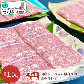 【ふるさと納税】村下商事シリーズ 国産牛・みらい豚合挽肉 1.5kg | 茨城県 つくば市 豚肉 豚 ぶた肉 ブランド豚 ブランド肉 高級 牛肉 牛 合い挽き ハンバーグ 肉団子 肉豆腐 冷凍 10000 10000円 1115087