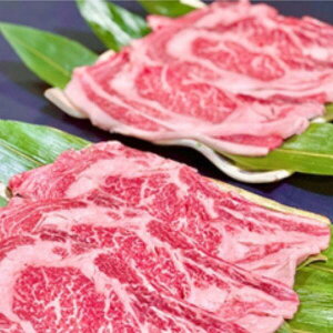 yӂ邳Ɣ[ŁzIʋ[X ؂Ăp 1kg | 錧 Ύs   Y   a u[X ē BBQ o[xL[