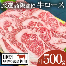 【ふるさと納税】厳選高級部位牛ロース(厚切り焼き肉用)500g【離島・沖縄配送不可】【1115092】｜茨城県 つくば市 牛肉 牛 国産 和牛 リブロース 焼肉 BBQ バーベキュー グリル用肉 ギフトにおすすめ