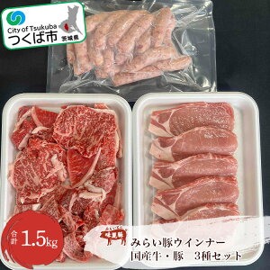 yӂ邳Ɣ[Łẑ߃oGeBpbN (E؁EECi[) 1.5kg | 錧 Ύs BBQ  ē Y  ؓ  Y lCi Mtg  ƒp O [X o