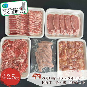 yӂ邳Ɣ[ŁzoGeBpbN (E؁E{EECi[) 2.5kg  | 錧 Ύs BBQ  ē Y  ؓ {  Y lCi Mtg  ƒp O [X o