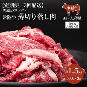 yӂ邳Ɣ[Łzy3ցz헤A4EA5Ki ؂藎 500g y錧ʕԗiz| 錧 Ύs  헤  uh a ؂藎Ƃ ؂  Ԃ 
