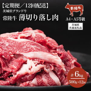 yӂ邳Ɣ[Łzy12ցz헤A4EA5Ki ؂藎 500gy錧ʕԗiz | 錧 Ύs  헤  uh a ؂藎Ƃ ؂  Ԃ 