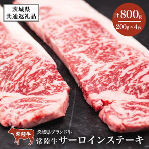 yӂ邳Ɣ[Łz헤T[CXe[L800gi200g×4 jy錧ʕԗiz | 錧 Ύs  헤  uh a 錧Y Y nYn  Ⓚ lC  T[