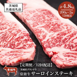 yӂ邳Ɣ[Łzy12ցz헤 T[CXe[L400gi200g×2jy錧ʕԗiz | 錧 Ύs  헤  uh a 錧Y Y nYn  Ⓚ l