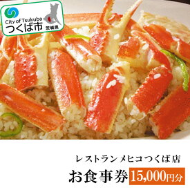 【ふるさと納税】レストランメヒコつくば店お食事券15,000円分｜茨城県 つくば市 飲食券 レストラン券 食事クーポン ダイニングチケット 食事体験 食事割引 グルメチケット 食事ギフト レストランギフト 食事特典 食事カード レストランクーポン 1378637