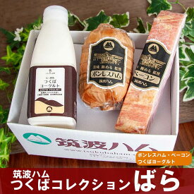 【ふるさと納税】筑波ハム つくばコレクション ばらセット（ボンレスハム、ベーコン、つくばヨーグルト） | 豚肉 豚 ぶた肉 ポーク ハム はむ ベーコン ボンレスハム ヨーグルト 茨城県産 国産 つくば市