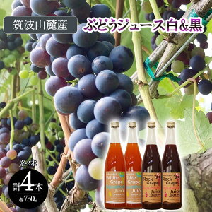 yӂ邳Ɣ[ŁzΎs }gR[YԂǂW[X4{Zbg r[Yj[YB[Y^Bee's Knees Vineyards | 錧 Ύs W[X Xg[g 100 Ԃǂ uhE Ԃǂ Ԃǂ 