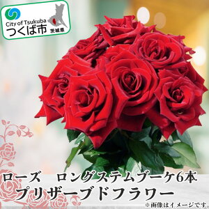yӂ邳Ɣ[Łz[Y OXeu[P(vU[uht[) | 錧 Ύs o vU[uht[ t[   KN Mtg  v[g  AWg