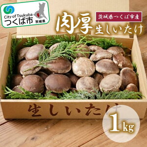 yӂ邳Ɣ[Łz(؍͔|) 1kg | 錧 Ύs VC^P ő ̂ LmR    ؍͔|  NHi H ۑԂ̒H H@ r^~ ~l