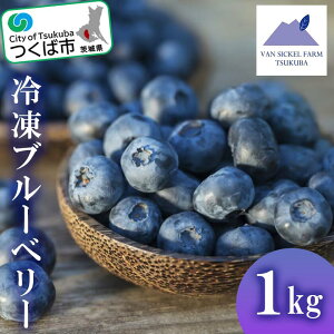 yӂ邳Ɣ[Łz錧ΎsY Ⓚu[x[ 1kg | 錧 Ύs u[x[ Y x[ XC[c gbsO h{ W ʎ ʕ pP[L