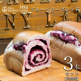 【ふるさと納税】＼お届け回数が選べる／ペニーレインのブルーベリーブレッド3本セット | 茨城県 つくば市 パン パン屋 茨城県 つくば市 ブルーベリー 冷凍パン お取り寄せ 人気 おすすめ ベーカリー グルメ プレゼント レストラン ドッグラン 冷凍 冷凍便
