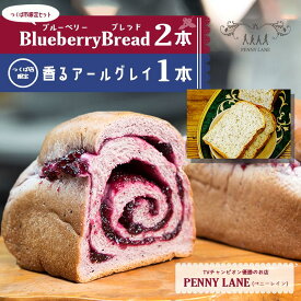 【ふるさと納税】ペニーレインのブルーベリーブレッド2 本＋ つくば店限定 香るアールグレイ1本セット | 茨城県 つくば市 パン パン屋 ブルーベリー 冷凍パン お取り寄せ 人気 おすすめ ベーカリー プレゼント 冷凍 冷凍便