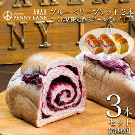 【ふるさと納税】ペニーレインのブルーベリーブレッド2 本＋ つくば店限定 香るアールグレイ1本セット | 茨城県 つくば市 パン パン屋 茨城県 つくば市 ブルーベリー 冷凍パン お取り寄せ 人気 おすすめ ベーカリー グルメ プレゼント レストラン ドッグラン 冷凍 冷凍便