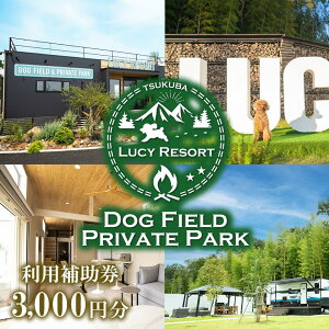 yӂ邳Ɣ[ŁzLUCY RESORT([V[][g)p⏕ 3,000~ | 錧 Ύs ̌ ̌^ `Pbg hbO BBQ o[xL[ OsO ybg h h h`Pbg