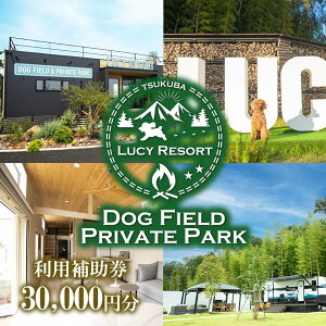 yӂ邳Ɣ[ŁzLUCY RESORT([V[][g)p⏕ 30,000~ | 錧 Ύs ̌ ̌^ `Pbg hbO BBQ o[xL[ OsO ybg h h h`Pbg