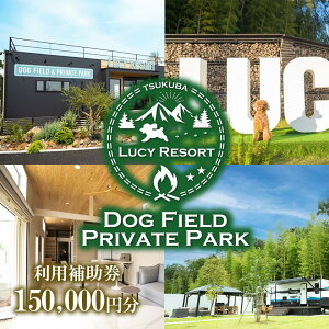 yӂ邳Ɣ[ŁzLUCY RESORT([V[][g)p⏕ 150,000~ | 錧 Ύs ̌ ̌^ `Pbg hbO BBQ o[xL[ OsO ybg h h h`Pbg