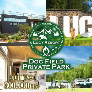 yӂ邳Ɣ[ŁzLUCY RESORT([V[][g)p⏕ 300,000~ | 錧 Ύs ̌ ̌^ `Pbg hbO BBQ o[xL[ OsO ybg h h h`Pbg