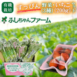 �y�ӂ邳�Ɣ[�Łz�y��s�\��z��2026�N1��16���ȍ~�����������҂�L�@�₳���E�������Z�b�gA | ��錧 ���Ύs ������ � �C�`�S ���݂̂� ������ �����C�����^�X ���� �� ����� ��� �L�@