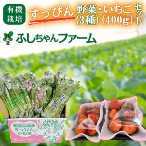 �y�ӂ邳�Ɣ[�Łz�y��s�\��z��2026�N1��16���ȍ~�����������҂�L�@�₳���E�������Z�b�gB| ��錧 ���Ύs ������ � �C�`�S ���݂̂� ������ �����C�����^�X ���� �� ����� ��� �L�@��