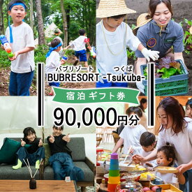 【ふるさと納税】【ふるさとeチケット】BUB RESORT Tsukuba 利用クーポン券(90000円分）| 茨城県 つくば市 グランピング キャンプ リゾート 体験 アクティビティ 宿泊 家族 子供 ファミリー 体験型 バブリゾート BUB BUBRESORT テーマパーク 宿泊券 宿泊チケット ホテル 宿