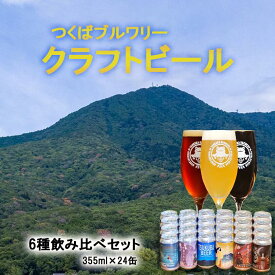【ふるさと納税】クラフトビール 24本 つくばブルワリー | 飲み比べ ビール お酒 地ビール 地酒 酒 麦酒 缶 茨城県 つくば市