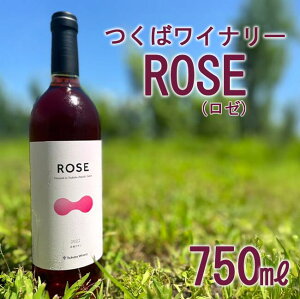 yӂ邳Ɣ[Łz2022 ΃Ci[ ROSE |   Ԃǂ uhE 錧 Ύs Ci[ C [ [C